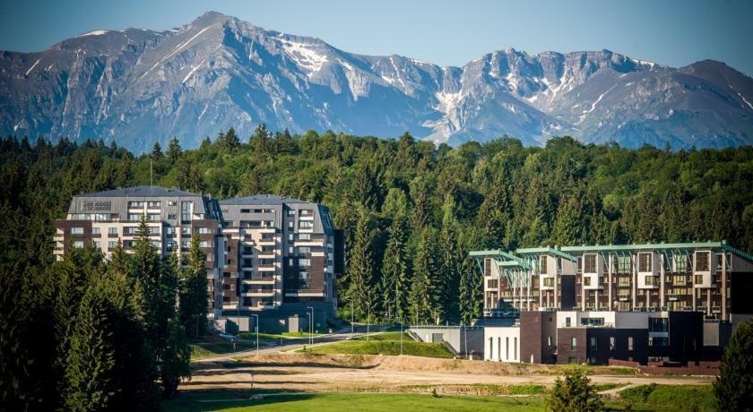 Luxury Mountain Apartment ポイアナ・ブラショフ エクステリア 写真